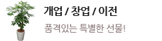 상단배너